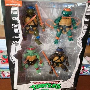 Rare original Teenage Mutant Ninja Turtles collectible